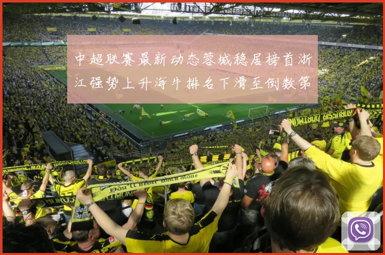中超联赛最新动态蓉城稳居榜首浙江强势上升海牛排名下滑至倒数第三