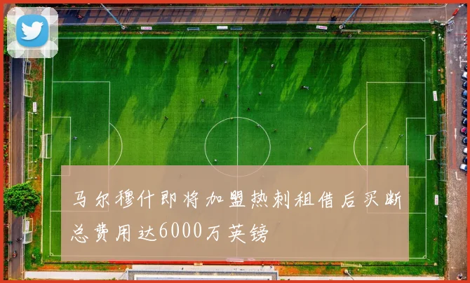 马尔穆什即将加盟热刺租借后买断总费用达6000万英镑
