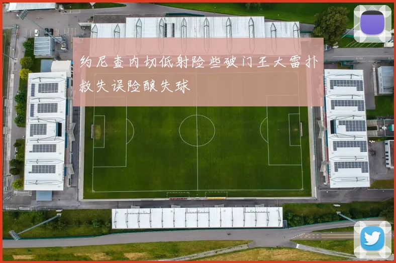 约尼查内切低射险些破门王大雷扑救失误险酿失球